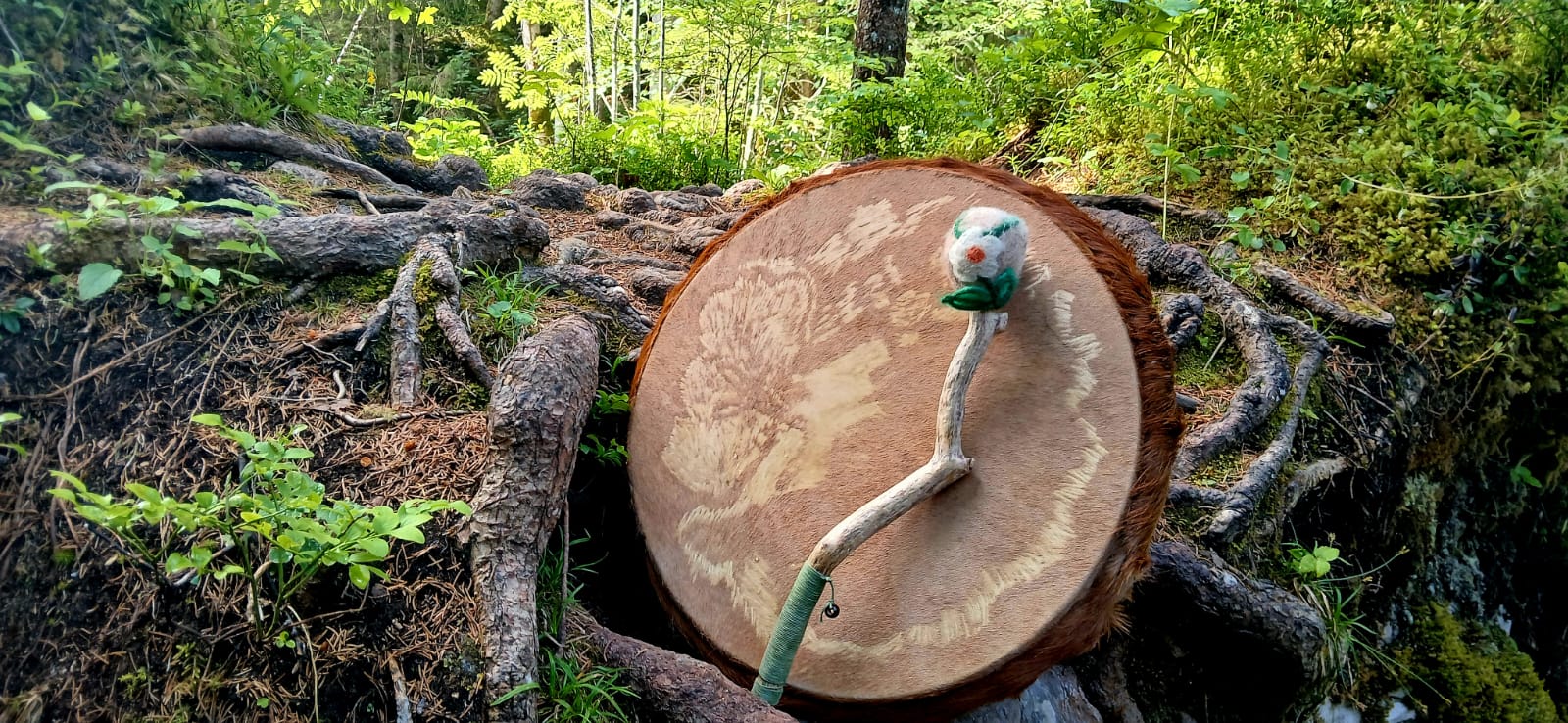 Schamanentrommel mit Schlägel auf einem Baumstumpf im Wald